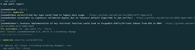 The output of npm audit in the terminal